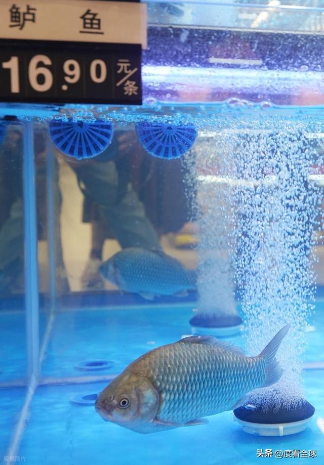 新荣天街盛大开业后湖商业迈入新纪元EVO视讯双强联袂焕新汉口!武汉(图3) 新荣天街盛大开业后湖商业迈入新纪元EVO视讯双强联袂焕新汉口!武汉(图3)